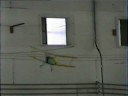 Pitcairn Mailwing indoor flyer, Reading, PA 1995