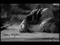 EKSPO & Ruki Vverh - Alioshka