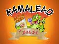 kamaleao no balde   gaviões do forró