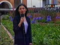 Botanica y naturismo