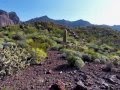 Hike to Mount Ajo via Bull Pasture, Organ Pipe ...