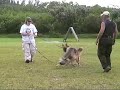 Brittany & Zambi -- Protection -- 5/20/07 -- Clip 1