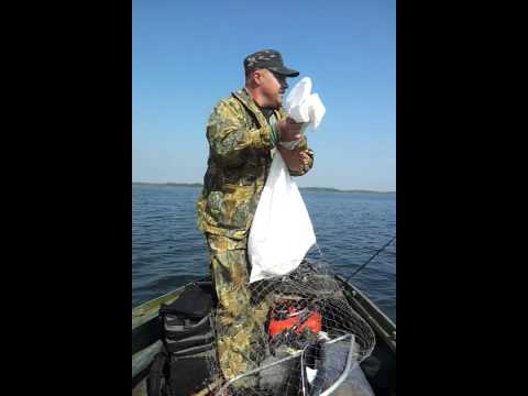куцеволовка рыбалка куцеволовка рыбалка