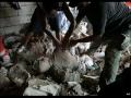 Qana, 1996-2006, Lest we forget