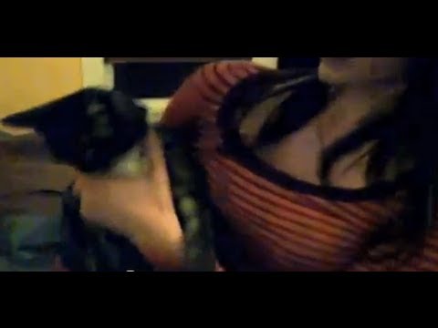Imagen de previsualización de YouTube