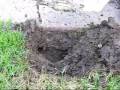 Mole Trap -- Basic Mole Trapping Techniques
