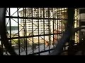 Disney World Monorail from parking lot to Magic Kingom