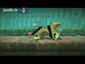 Cooter\