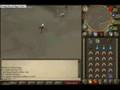 videos de Runescape Aviansies Tanking Guide