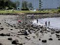 ooi seaside park