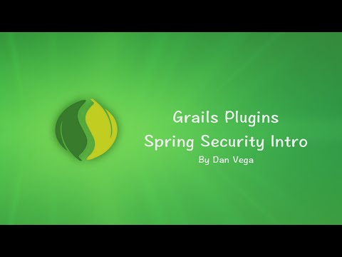 how to provide spring security