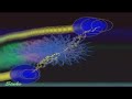 U2 with or without you X windows media player U2 with or without you X windows media player