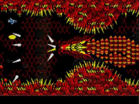 動画