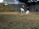 Ligaro op arabieren show 01