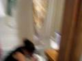 videos de Michael house cleaning