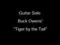 Chicken Pickin Guitar Solo