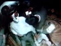 al capone robert deniro mac dre untouchables eliot ness al alphonse capone chicago war alcohol liquor raid violence businessman shotgun gun crime