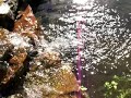 How to install a pond filter...Filter Installed