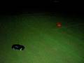 R/C dori