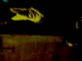 alito famailla