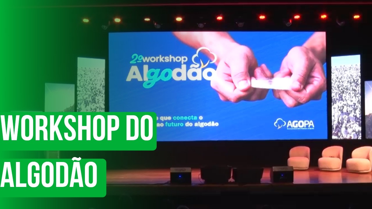 Workshop do Algodão