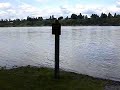 Fraser River floods in BC  - Derby Reach picnic area flooded