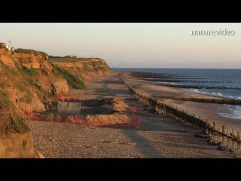 The first Britons