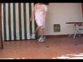 /elgab bailando electro 5.0