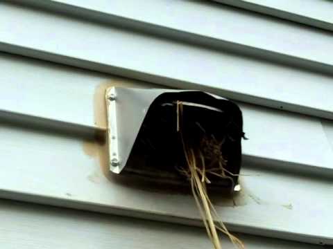 how to remove a bird nest from a dryer vent