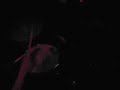 TheDeathSet @ Chicago Mauled by Tigers Festival