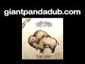 Giant Panda Guerilla Dub Squad 