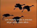voc� pode vencer!