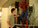 Spidermans Lunch