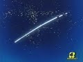 Sailor Moon (Flores Amarillas)