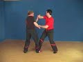 Dragos WT: Pflaumenbl�tenschrittarbeit