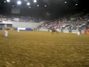 barrel racing
