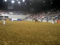 barrel racing