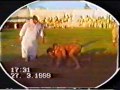 MUHAMMAD UMAR PEHLAWAN VS SHAHID BABER PEHLAWAN RUSTAM E GUJRANWALA FINAL FIGHT