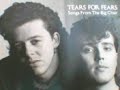 BROAKEN(Tears for fears)