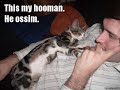 sweet random pics #2
