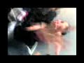 pelea de gatas