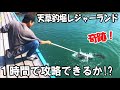 【熊本天草釣掘レジャーランド】１時間で真鯛は釣れるか。最後に分かった攻略法！釣った魚でいきなりBBQやってみた