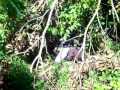 dj malanga-my life belongs-techno.wmv