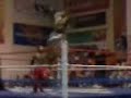 balder lucha libre en los mochis 3