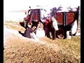 meyhanlı yazıçayırı yazicayiri yazicayiri2 kulu