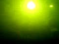 Nathan Fake - Superposition - The Arches