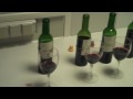 Tasting barrel samples of 2008 Arsac
