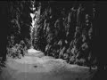 Fear of Eternity - Atrocious Pain Fear of Eternity - Atrocious Pain