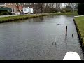 opgevoerde jabo 2b voerboot