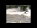 Red Bull Speedboot